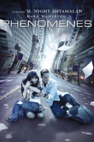 Phénomènes