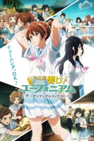 Hibike! Euphonium – Ensemble Contest